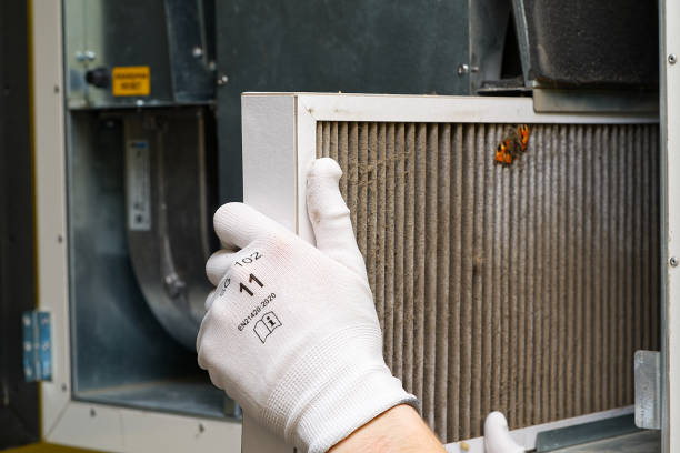 Best Local Air Duct Cleaning Services  in World Golf Village, FL